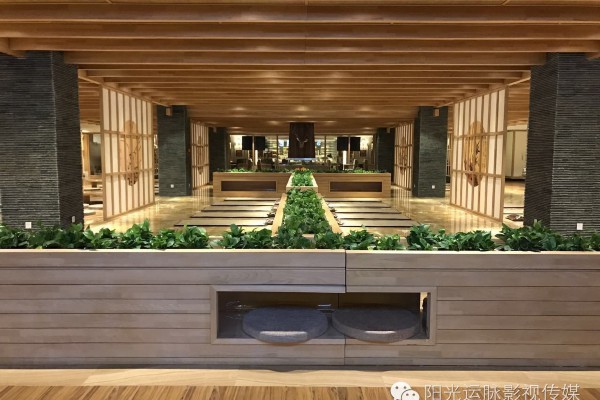 成都休闲时光：一茶一鸟养生之旅(一茶一瓷成都店)